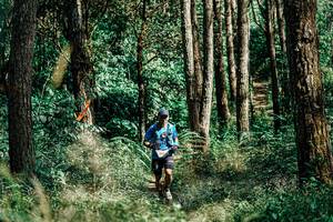 BIB: 
                            <button type="button" onclick="openModal(25236051)" class="btn btn-primary btn-sm float-right btn-popup" data-toggle="modal" data-target=".modal-high-quality">
                        <i class="fas fa-shopping-cart"></i> Add to Cart
                    </button>
                                            <button type="button" onclick="isThisMe(25236051, true)" class="btn btn-success btn-sm float-right btn-popup btn-isme hidden" data-toggle="tooltip" data-placement="bottom" title="นี่คือรูปของคุณใช่ไหม คลิกที่นี่เพื่อเอาเข้าอัลบั้ม">
                        <i class="fas fa-plus"></i> Add to album
                    </button>
                    <button type="button" onclick="isThisMe(25236051, false)" class="btn btn-warning btn-sm float-right btn-popup btn-isnotme hidden">
                        <i class="fas fa-ban"></i> Remove from album
                    </button>